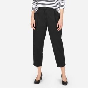 Everlane The Slouchy Pleated Chino Pants Size 4